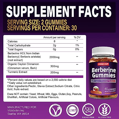 Berberine Gummies with Ceylon Cinnamon 2000mg High Potency Berberine HCI Supple vidabotan