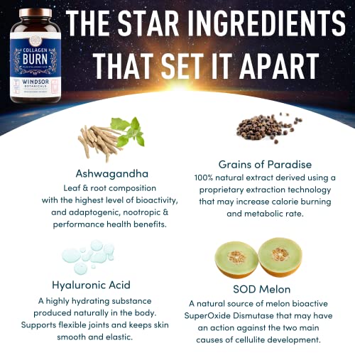 Thermogenic Multi Collagen Burn Capsules - Hydrolyzed Multi Collagen Complex Types WINDSOR BOTANICALS