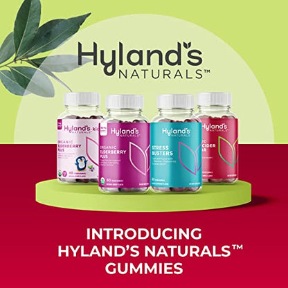 Hyland's Naturals Organic Apple Cider Vinegar Blast Gummies, Digestive Health Suppor