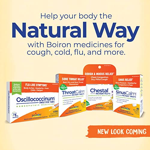 Boiron ThroatCalm On The Go for Pain Relief from Red, Dry, Scratchy, Sore Throats and Hoarseness Boiron