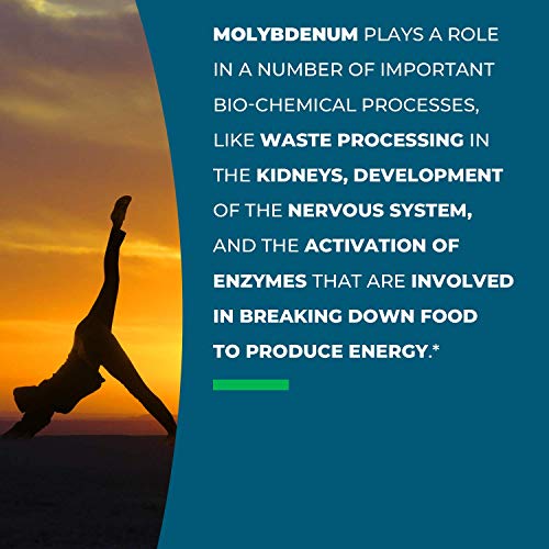 Seeking Health Molybdenum 500, Molybdenum Glycinate Chelate Supplement Seeking Health
