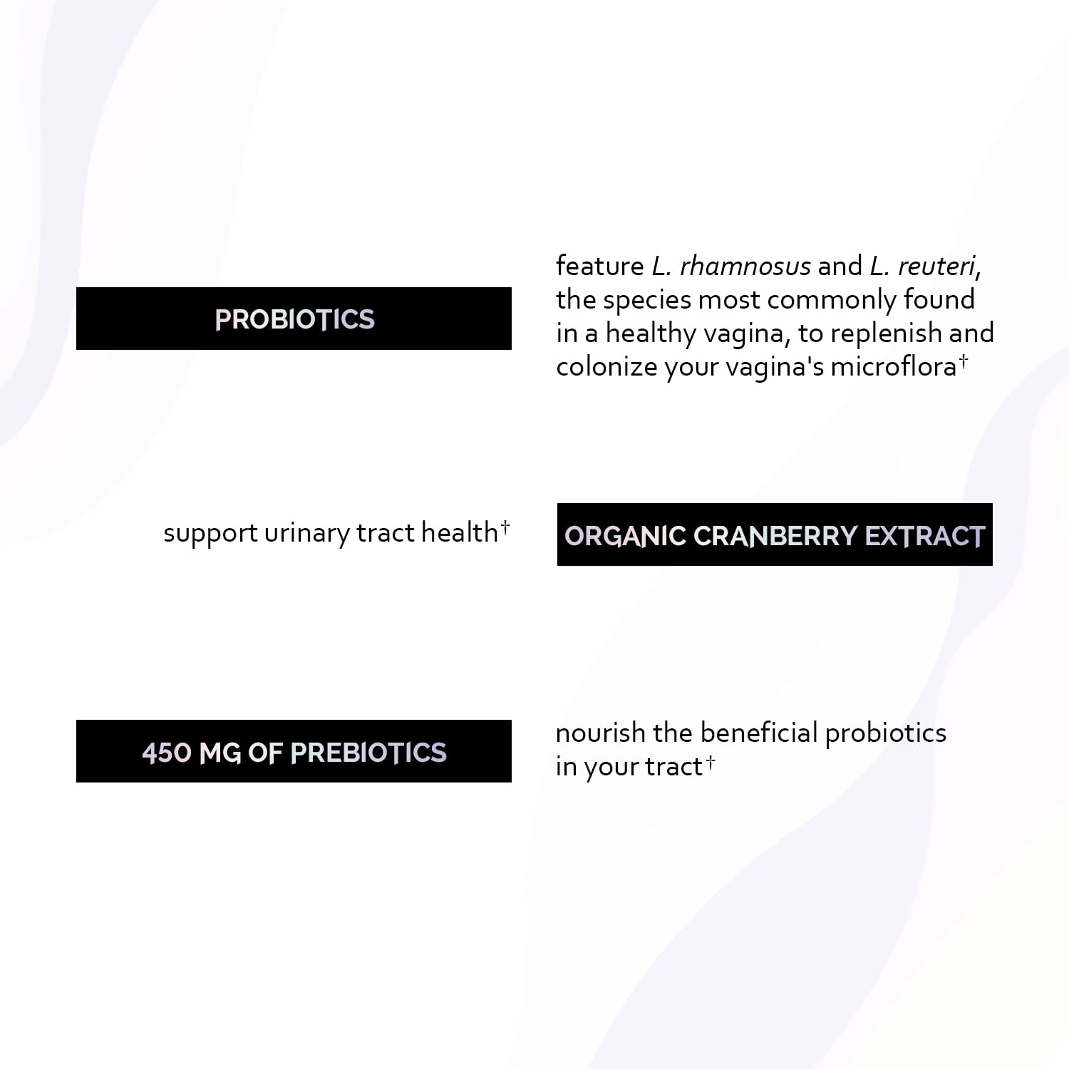 Undone By Nature Probiotic for Women, 50 Billion CFU Women's Probiotics with Prebiotics Undone By Nature