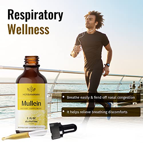Mullein Leaf Tincture - Lung Cleanse - Vegan Lung Detox - Respiratory Health HERBAMAMA