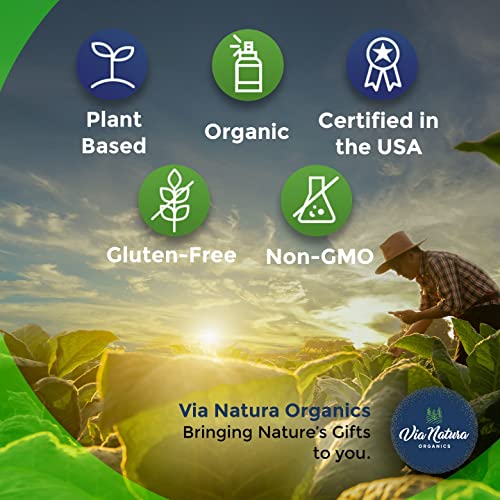 Via Natura Organics Apple Cider Vinegar Capsules 1000mg | Organic Herbal Supplement Via Natura Organics