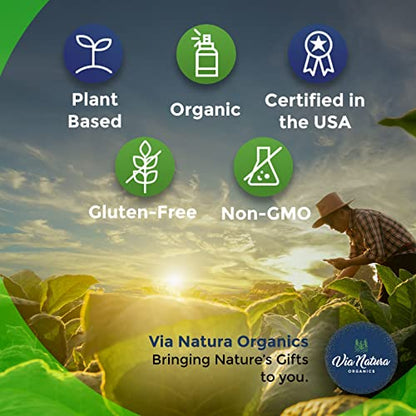 Via Natura Organics Apple Cider Vinegar Capsules 1000mg | Organic Herbal Supplement