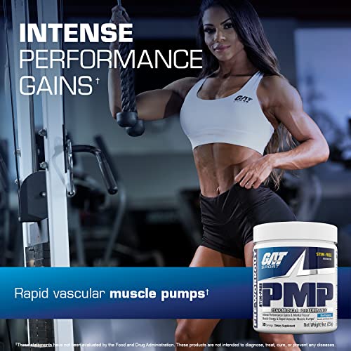 GAT SPORT PMP (Peak Muscle Performance), Pre-Workout, 30 Servings (Blue Raspberry