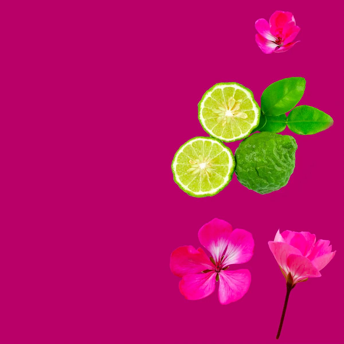 VINEVIDA [4 Fl Oz] Scent NO. 3300 Fragrance Oil for Cold Air Diffusers, Aromatic Notes of Bergamot VINEVIDA