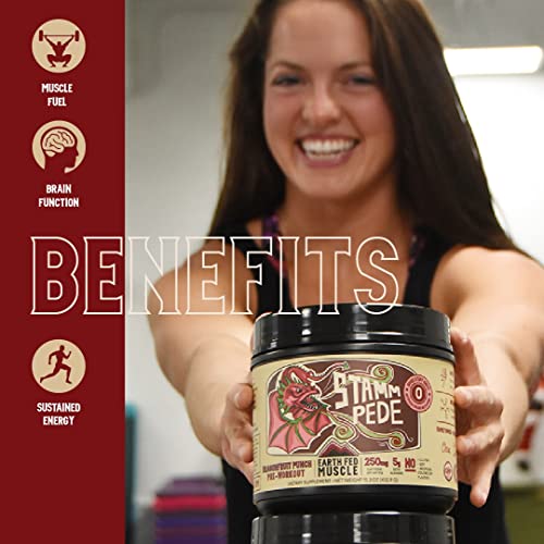 Earth Fed Muscle Stammpede DragoFruit Punch Pre Workout, 30 Servings, Boost Energy, Increase Endurance and Focus, Beta-Alanine, 250mg Caffeine, Citrulline Malate, Taurine, Tyrosine - Keto, No Sugar
