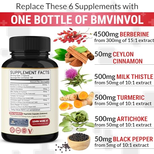 BMVINVOL Premium Berberine HCl 6-in1 Equivalent 6100mg - 120 Capsules - Plus Ceylon BMVINVOL