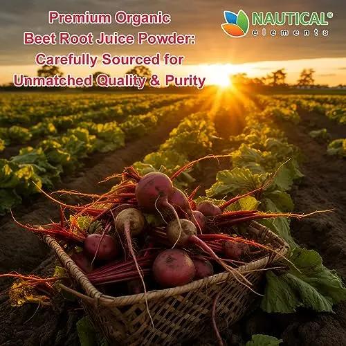 Beet Juice Powder Organic - Cold Pressed - 20:1 Concentrate - Concentrated Beet Root Nautical Elements