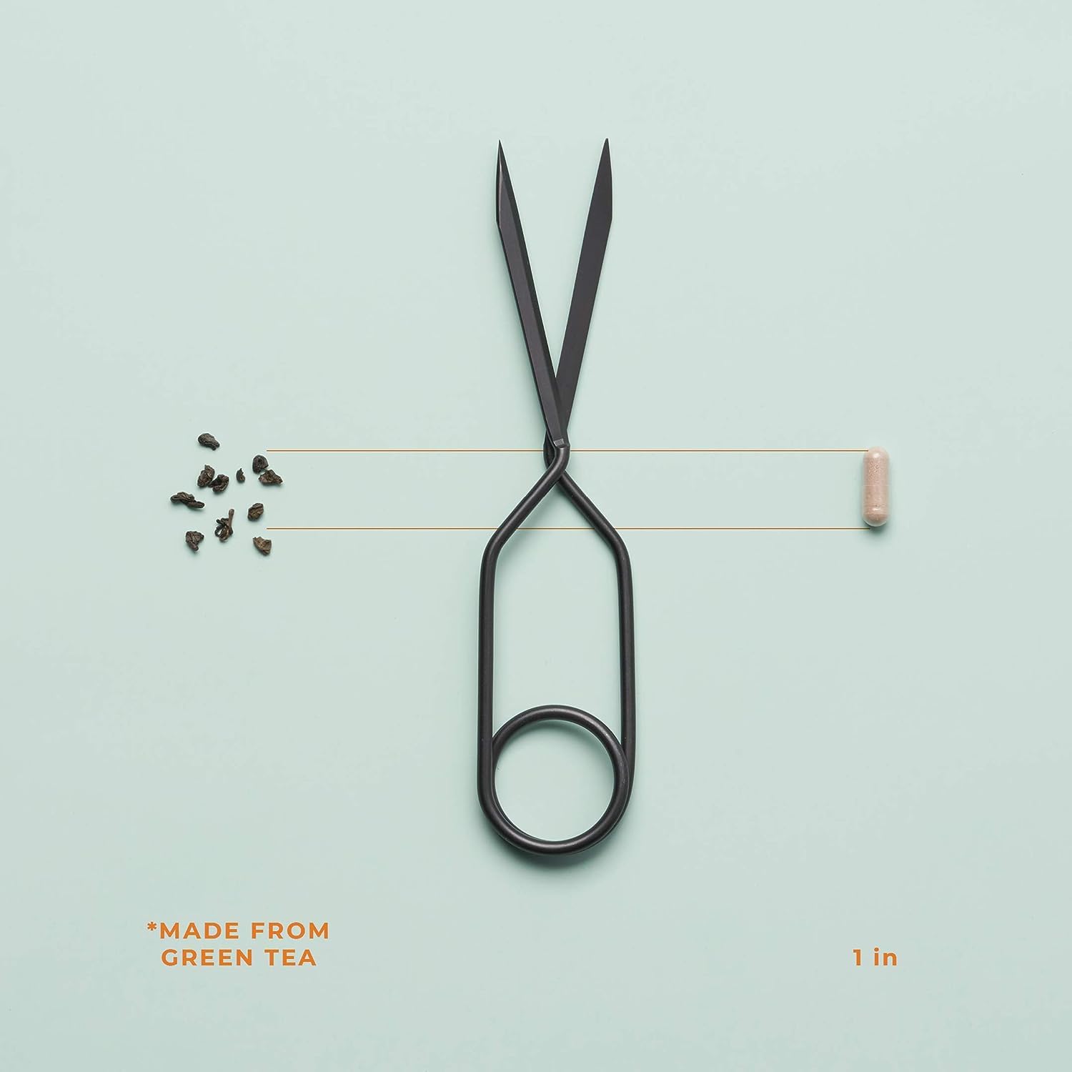 LifeSeasons - Metabolism - Weight Control Support & Energy Boosting Supplement LifeSeasons