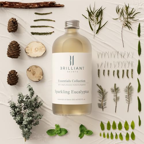 Brilliant Scents - Sparkling Eucalyptus | Luxury Home & Business Scent | Fragrance Oil - 500ml Brilliant Scents