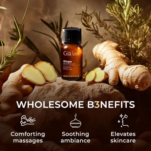 Gya Labs Ginger Oil for Comfort - Natural Ginger Essential Oil for Massage Oil - Ginger Oil