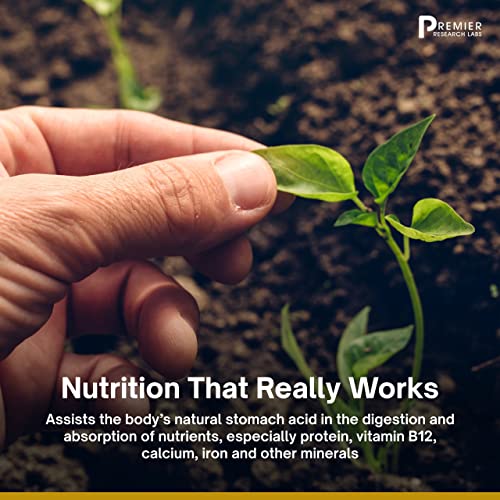 Premier Research Labs Galactan - Prebiotics for Regularity & Healthy Microbiome Premier Research Labs