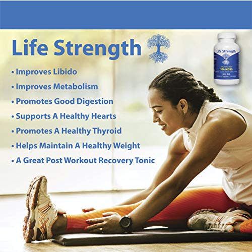 Life Strength Organic Sea Moss 120 CT Wildcrafted Irish Sea Moss and Bladderwrack Burdock