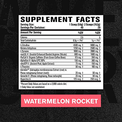 Jacked Factory Nitrosurge Max Nootropic Pre Workout Powder - Premium Pre Workout