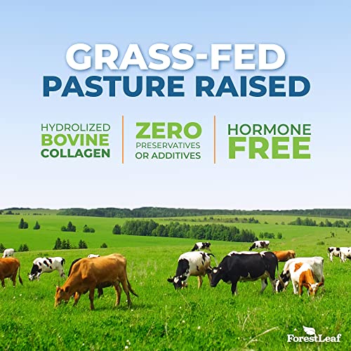 Collagen Peptides Powder Unflavored - Hydrolyzed Collagen Protein