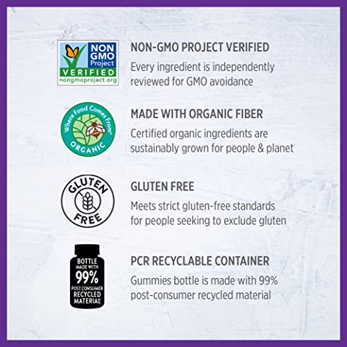 New Chapter Prenatal Multivitamin Gummies – 71% Less Sugar, Prenatal Gummies New Chapter