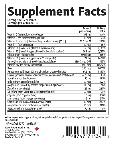 NEW ROOTS HERBAL Prenatal Complete MultiVitamin (90 Veg Caps) - with Biotin, Iron & Folate NEW ROOTS HERBAL