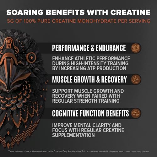 Birdman Falcon Performance Vegan Protein Powder, 31g Protein, 5g Creatine, 5g BCAA BIRDMAN