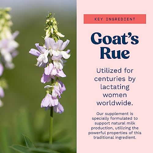 Goat's Rue Lactation Supplement For Increased Breast Milk, Lactation Supplement Mommy Knows Best