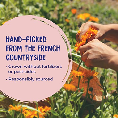 Boiron Calendula Cream for First Aid, Minor Burns, Cuts, Scrapes, Insect Bits and Sunburn - 2.5 oz Boiron