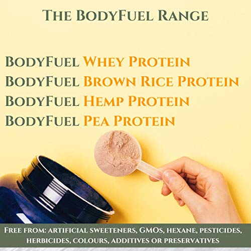 Complementary Supplements - BodyFuel Whey Protein Isolate & Concentrate Chocolate Flavour Complementary Supplements