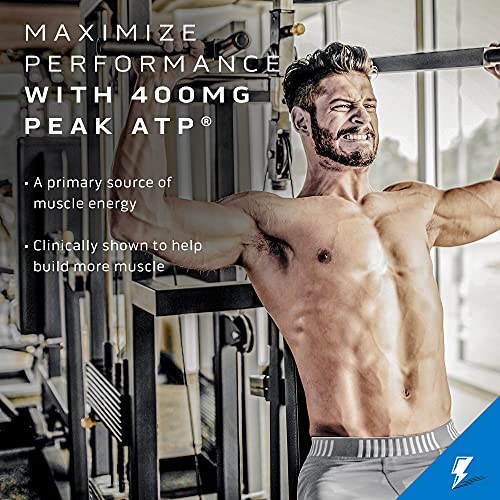 Creatine Powder | MuscleTech Cell-Tech Elite Creatine Powder | Post Workout Recovery