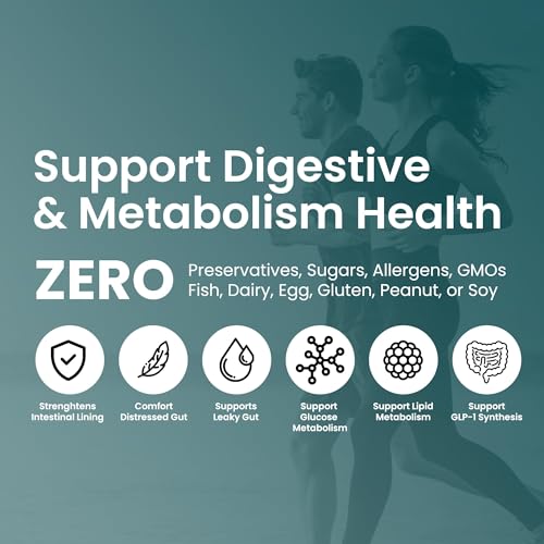 UpNourish Probiotics - 200 Billion CFUs, 15 Strains, Prebiotics & Enzymes - 60 Vegan Cap UpNourish