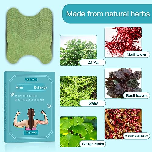 Mugwort Patch - Natural Herbal Patch for Women and Men (12) BXQJRJ