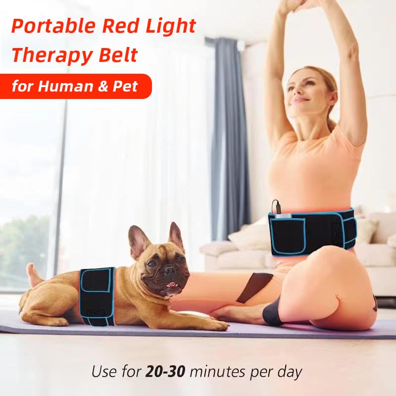 Red Light Therapy Belt, 660&850nm 3 -in-1 Big Chips Near Infrared Therapy Wrap for Body HEDYNSHINE