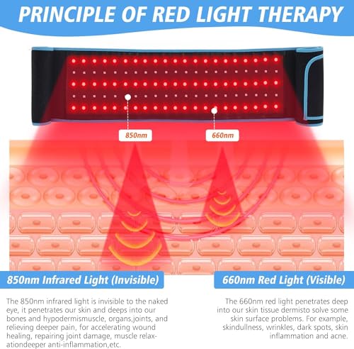 Red Light Therapy Near Infrared Light Therapy Wrap Belt for Body with Timer for Waist Back Shoulder AKYSUN