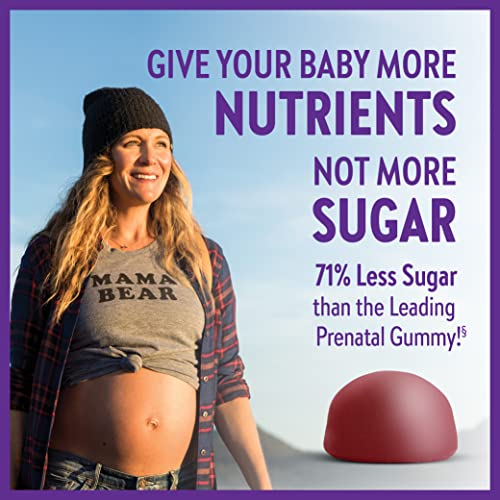 New Chapter Prenatal Multivitamin Gummies – 71% Less Sugar, Prenatal Gummies New Chapter