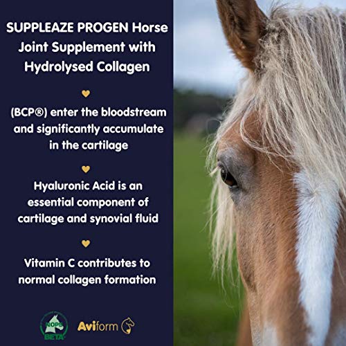 Aviform SUPPLEAZE PROGEN Horse Joint Supplement with Hydrolysed Collagen 1kg Aviform