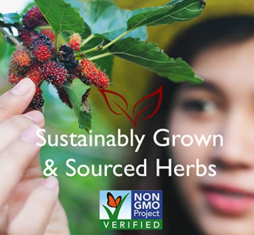 Bravo Tea Menopause Comfort Herbal Tea Caffeine Free, 20 Tea Bags Bravo Tea