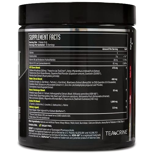 LIPORUSH NDS Nutrition XTP Thermogenic Fat Burner with L-Carnitine - Energy, Focus