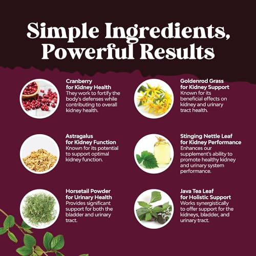 Kidney Support Cranberry Supplement for Women and Men - High Strength Kidney