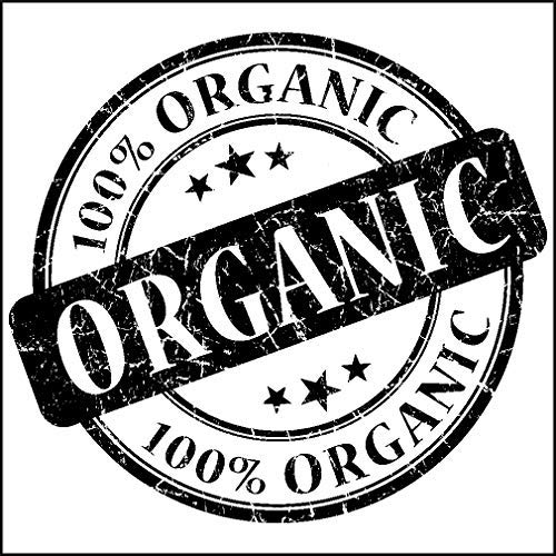 Canah Hemp Up Organic Protein Shake Powder – Muscle gain & Boost up Immune System, HEMP UP!