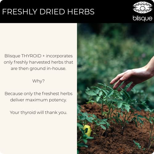 Blisque – Thyroid Support Supplement Complex for Healthy Metabolism and Increased Energy Blisque