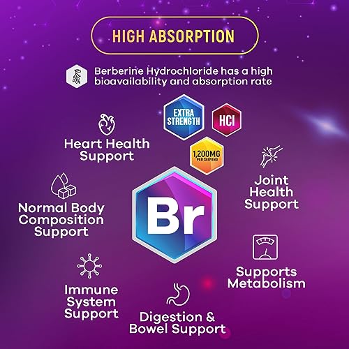 Berberine Supplement 1200mg per Serving - High Absorption Heart Health Support Nature's Nutrition
