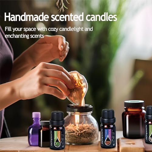 KMSCO Essential Oils Set -Top 16(0.33Fl Oz) Organic Plant Natural Fragrance Scents Blends Oil KMSCO