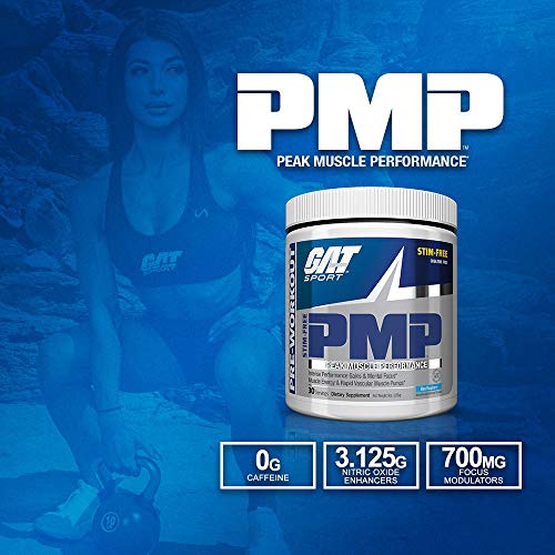 GAT PMP (Peak Muscle Performance), Next Generation Pre Workout Powder for Intense