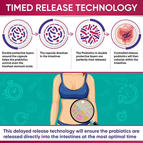 Dr. Formulated Raw Probiotics for Women 100 Billion CFUs with Prebiotics Wholesome Wellness