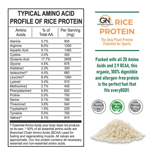 Growing Naturals | Vanilla Rice Powder 15g Plant Protein | 2.8G BCAA, Low-Carb