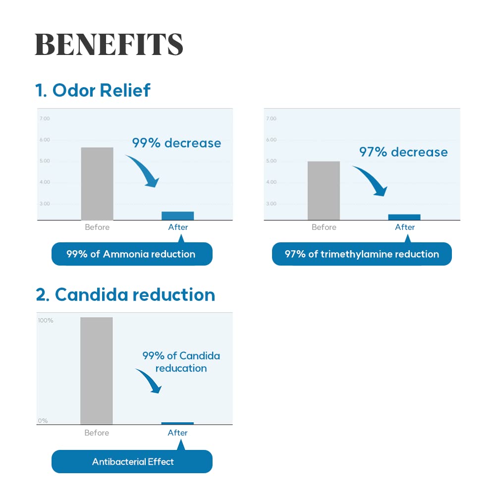 LACTOMEDI Feminine Foaming Wash | Gentle Foam Cleanser for Intimate Hygiene | pH-Balanced Formula
