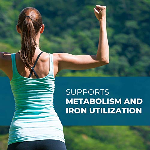 Seeking Health Molybdenum 500, Molybdenum Glycinate Chelate Supplement Seeking Health