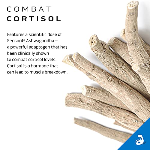 Creatine Powder | MuscleTech Cell-Tech Elite Creatine Powder | Post Workout Recovery