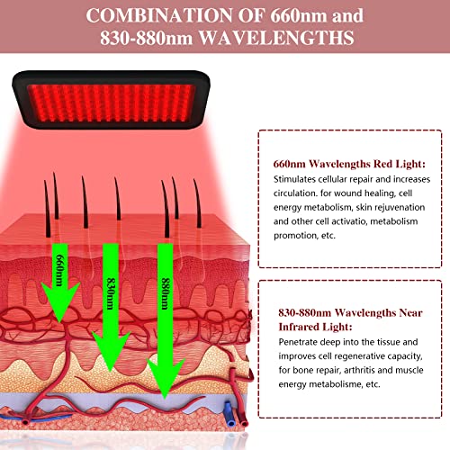 Red Light Therapy Belt, Infrared Light Therapy Wrap Red Light Therapy Device for Body, Pain Relief Jitesy