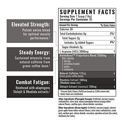 Wilderness Athlete - Brute Force Pre-Workout | Best Pre Workout Powder for Women & Men