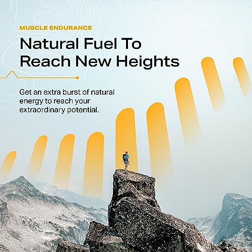 Tecton Ketone Hydration Variety - 4-pack